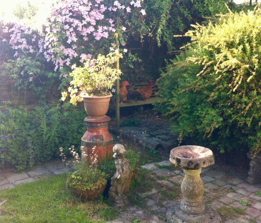 Five Saints Farmhouse B&B Pumpsaint Exteriör bild